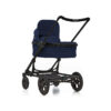 Seed Papilio Navy (Aussteller)